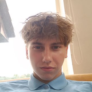 Arle Aron Reidma, software and AI developer
